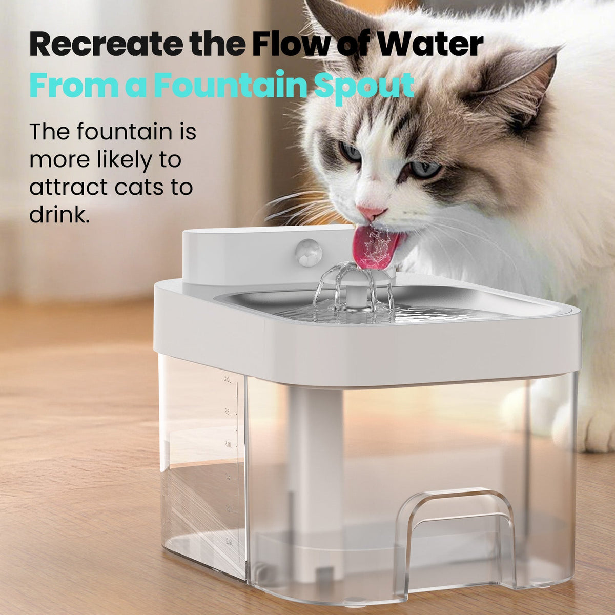 Smart Cat Water Fountain Filter Free with App Monitoring and Separate Water Tanks