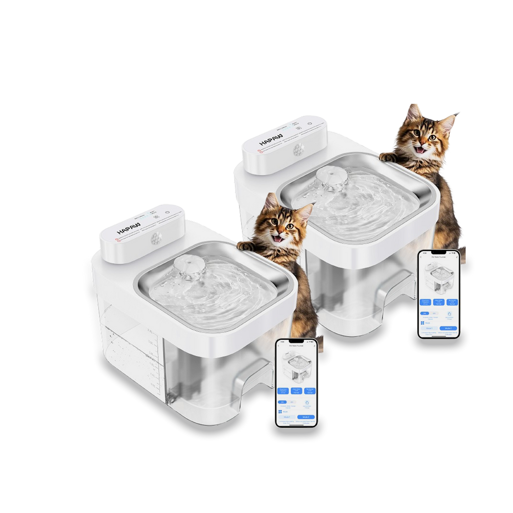 Smart Cat Water Fountain Filter Free with App Monitoring and Separate Water Tanks